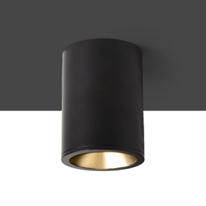 EILEEN mennyezeti lámpa fehér  230V LED GU10 7W IP65